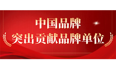 快意电梯获评“突出贡献品牌单位”，树立中国品牌标杆力量